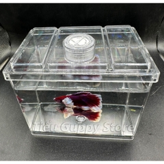 Khay Nhựa Mica nuôi Cá Betta, Guppy, Cá Cảnh Nhỏ 8x12x10cm Sobo M-B03- Keo Betta Mini Chất Liệu nhựa trong suốt
