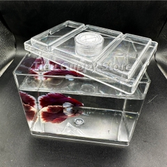 Khay Nhựa Mica nuôi Cá Betta, Guppy, Cá Cảnh Nhỏ 8x12x10cm Sobo M-B03- Keo Betta Mini Chất Liệu nhựa trong suốt