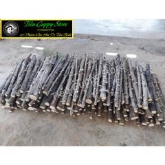 Lũa Thạch Sùng - Lũa Chuyên Setup Hồ Thủy Sinh Layout Rừng Tự Nhiên (Chiều dài 35-50cm)