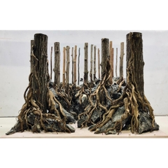 Lũa Thạch Sùng - Lũa Chuyên Setup Hồ Thủy Sinh Layout Rừng Tự Nhiên (Chiều dài 35-50cm)