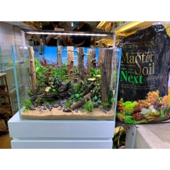 Lũa Thạch Sùng - Lũa Chuyên Setup Hồ Thủy Sinh Layout Rừng Tự Nhiên (Chiều dài 35-50cm)