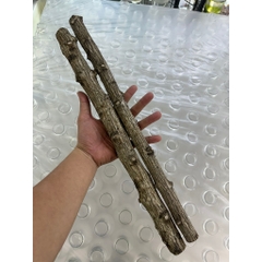 Lũa Thạch Sùng - Lũa Chuyên Setup Hồ Thủy Sinh Layout Rừng Tự Nhiên (Chiều dài 35-50cm)