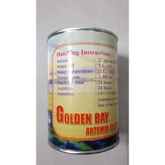 Artemia Golden Bay (lon 425gr) - Trứng Artemia Mỹ Chất Lượng nở Cao, Thời gian thu hoạch nhanh chóng 24h