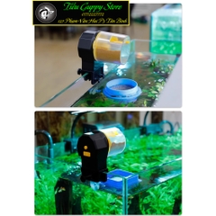 Máy cho cá ăn tự động Jeneca F-8805 (Tặng kèm 2 pin)