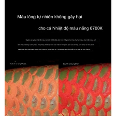 Đèn Hồ Cá Neo Helios Solar Color Booster - Tăng Cường Giúp Màu Cá Thêm Đẹp