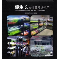 Đèn Hồ Cá RGB Neo-Helios Flat Light Solar XP-300 XP-450 XP-600 XP-800 XP-900 XP-1200 Đỏ Cá Không Đỏ Nước