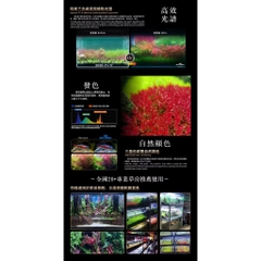 Đèn Hồ Cá RGB Neo-Helios Flat Light Solar XP-300 XP-450 XP-600 XP-800 XP-900 XP-1200 Đỏ Cá Không Đỏ Nước