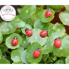 Mô Hình Bọ Ngũ Sắc (ZC-886)  - Tiểu Cảnh Trang Trí Chậu Sen đá, Hồ Cá, Bonsai, Terrarium