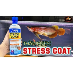 API STRESS COAT+ , Thần Dược cho cá cảnh. Giảm stress và khử kim loại nặng, phục hồi vết thương