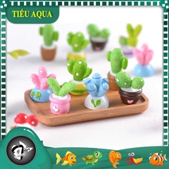 Phụ Kiện Tiểu Cảnh -  Mô hình Cây Xương Rồng dễ thương (ZC- 814)- Tiểu Cảnh Trang Trí
