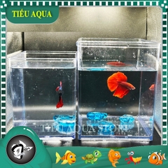 Keo Betta Trong Suốt 20x15x18cm và 15x12x15cm -  Keo Show Nhựa Chất Liệu Cao Cấp