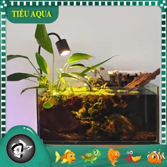 Đèn Led Rọi Thuỷ Sinh Biotop - Thích Hợp cho những hồ Thuỷ Sinh, hồ Bán Cạn, Hồ Tiểu Cảnh...