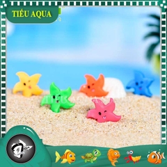 Phụ Kiện Tiểu Cảnh -  Mô Hình Sao Biển Nhiều Màu (ZC-452) - Tiểu Cảnh Trang Trí Chậu Sen đá, Hồ Cá, Bonsai, Terrarium,..