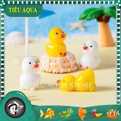 Mô hình Vịt Con, Vịt Trắng Vịt Vàng Đáng Yêu - Tiểu Cảnh Trang Trí Chậu Sen đá, Hồ Cá, Bonsai, Terrarium (ZC - 966)