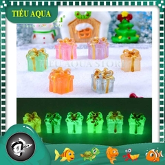 Phụ Kiện Tiểu Cảnh - Hộp Quà Giáng Sinh Dạ Quang (ZC-1055) - Tiểu Cảnh Trang Trí Chậu Sen đá, Hồ Cá, Bonsai, Terrarium