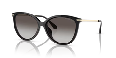 Kính mát MICHAEL KORS 0MK2184U 30058G chính hãng