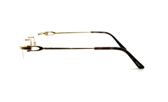 Gọng Cartier CT0290O-003 chính hãng