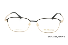 Gọng Exfash EF74259T 480A chính hãng