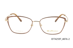 Gọng Exfash EF74259T 487A chính hãng