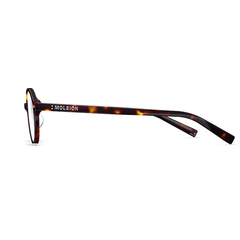 Gọng MOLSION MJ3107 B10 chính hãng