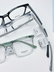 Gọng PARZIN PZ31001 chính hãng