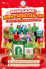 TỰ HÀO HÀNH TRÌNH GIEO HẠT NGỌC: CÂU CHUYỆN ĐẰNG SAU GẠO ST25 RUỘNG RƯƠI BẢO MINH