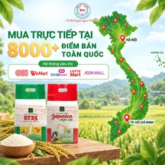 MUA GẠO BẢO MINH Ở ĐÂU? HƯỚNG DẪN CÁC KÊNH MUA GẠO CHÍNH HÃNG