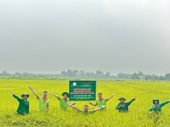 VƯỢT QUA KIỂM DUYỆT KHẮT KHE CỦA MỸ, GẠO HỮU CƠ BẢO MINH TỰ HÀO ĐẠT CHUẨN USDA ORGANIC QUYỀN LỰC