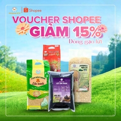 GẠO LỨT CÓ TỐT CHO NGƯỜI TIỂU ĐƯỜNG KHÔNG? 4 LOẠI GẠO LỨT BẢO MINH ĐÁNG THỬ