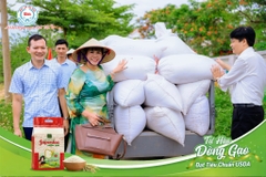 GẠO BẢO MINH: 30 NĂM GẮN BÓ VỚI HẠT GẠO VIỆT & HÀNH TRÌNH PHÁT TRIỂN VÙNG TRỒNG JAPONICA CHUẨN QUỐC TẾ