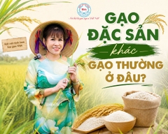 GẠO ĐẶC SẢN KHÁC GẠO THƯỜNG Ở ĐÂU? BÍ MẬT ĐẰNG SAU HẠT NGỌC TRỜI CHUẨN VỊ