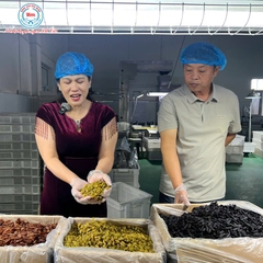 NHO KHÔ TURPAN: SỰ THẬT VỀ LOẠI NHO KHÔ ĐẮT GIÁ TỪ VÙNG ĐẤT 3.200 GIỜ NẮNG