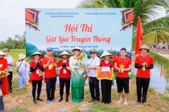 [LỄ HỘI RUỘNG RƯƠI 2026] VỀ CHÍ MINH, HẢI PHÒNG: VÙNG TRỒNG LÚA VUI NHẤT TOÀN QUỐC CÓ GÌ HOT?