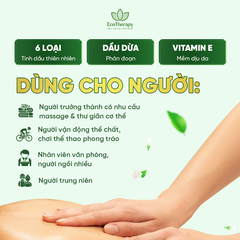 Eco Herbal Oil 20ml - Dầu Massage Thảo Dược Dapharco