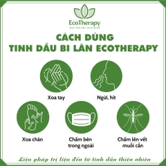 Tinh dầu bi lăn EcoTherapy [Lọ 9ml] 4 mùi hương thiên nhiên giải cảm, giảm đau, chống say xe