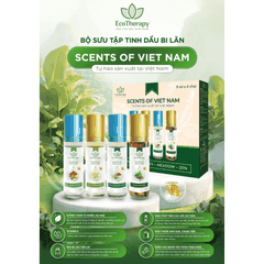 Tinh Dầu Bi Lăn Thảo Mộc Meadow - 9ml