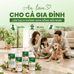 Nước Lau Sàn Thiên Nhiên Thảo Mộc EcoTherapy 1L – Tinh Dầu Tràm, Sả, Hương Thảo, Quế – Làm Sạch Khử Mùi Dapharco