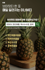 TRÀ DỨA DETOX V.FIT TEA LUFE