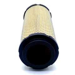 Lọc gió Perkins 5543091