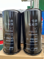 Lọc nhớt MTU 0031845301
