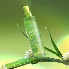 Xịt Khoáng Lô Hội Cấp Ẩm Dịu Da Arumore Aloe Vera Soothing Mist 200ML