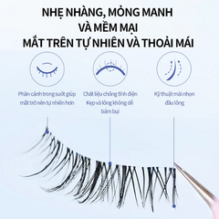 Lông Mi Giả Mlen Diary Gân Trong Suốt 5 Cặp