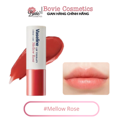 Son dưỡng có màu Vaseline Lip Therapy Colour Stick 42g