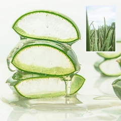Xịt Khoáng Lô Hội Cấp Ẩm Dịu Da Arumore Aloe Vera Soothing Mist 200ML