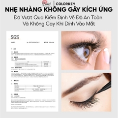 Bút Kẻ Mắt Nước Lâu Trôi Colorkey Floating Color Liquid Eyeliner 0.5ml