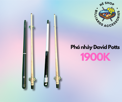 Phá nhảy David Potts