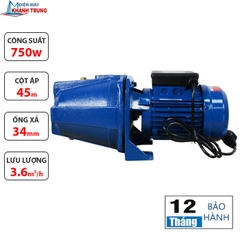 Máy Bơm Nước Con Lợn JET-100 (750W)