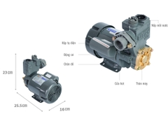 Máy bơm nước Selton SEL 150BE
