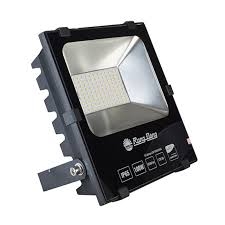 Đèn LED chiếu pha Rạng Đông D CP06/10W (6500K - 3000K) SS