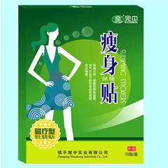 Hộp 10 Miếng Giảm Cân Giảm Mỡ Đông Y Hàng Chính Hãng - An Toàn, Hiệu Quả, Không Tác Dụng Phụ - HTHshop02
